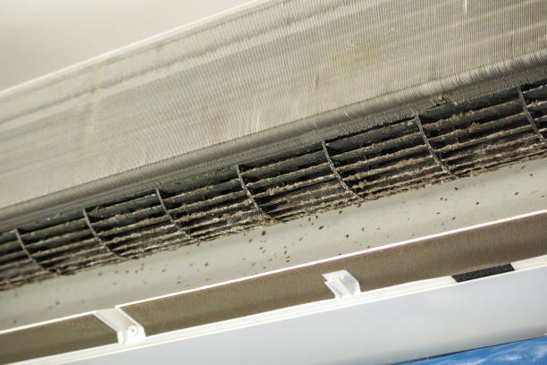 Best Residential Air Duct Cleaning  in Moore Haven, FL