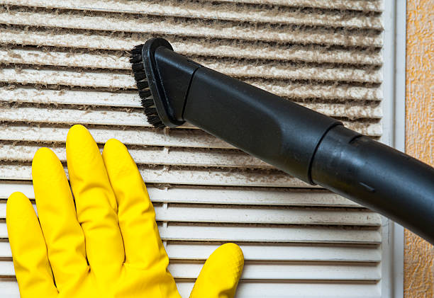 Best Ductwork Cleaning Services  in Moore Haven, FL