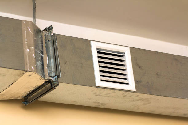 Best Home Air Vent Cleaning  in Moore Haven, FL